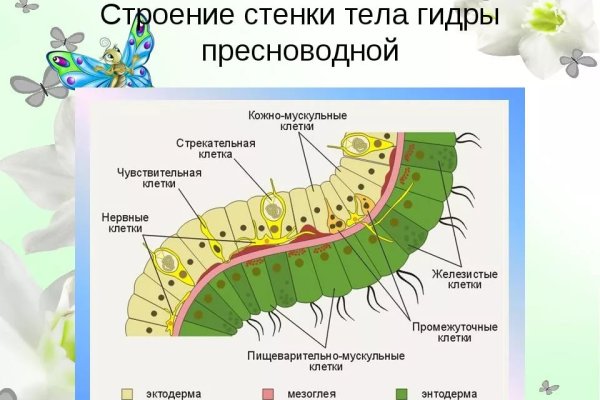 Кракен зеркало на сайт