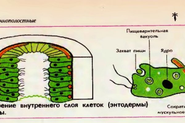 Kraken официальный сайт ссылка krk store com