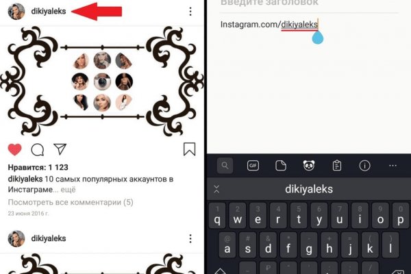 Darknet как войти
