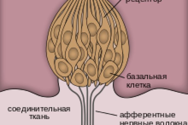 Магазин наркоты