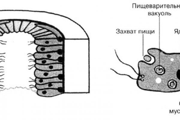 Кракен сайт krknwebs