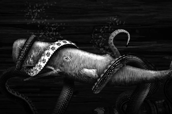 Kraken ссылка kraken clear com