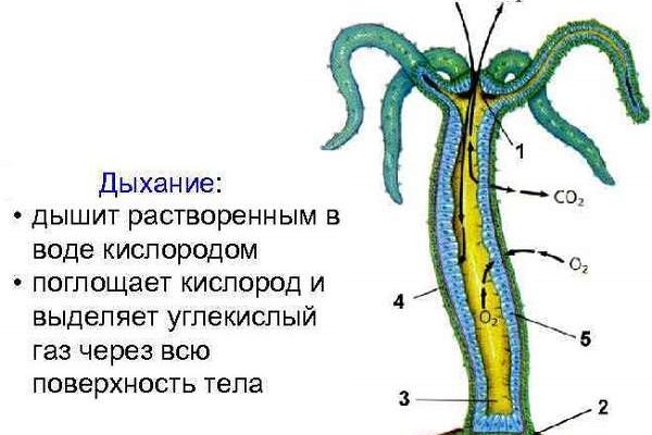 Kra43.at Вход на сайт главная страница