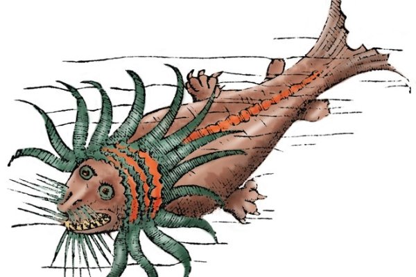 Kraken20at
