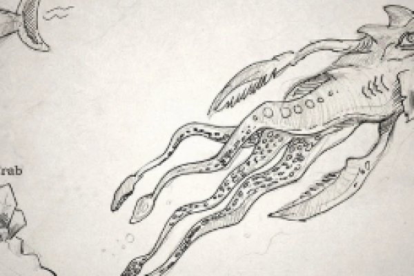 Kraken17 at