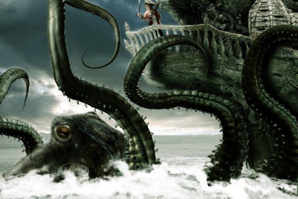 Kraken tor link
