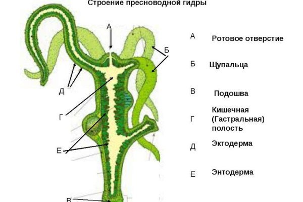 Ссылки на кракен at