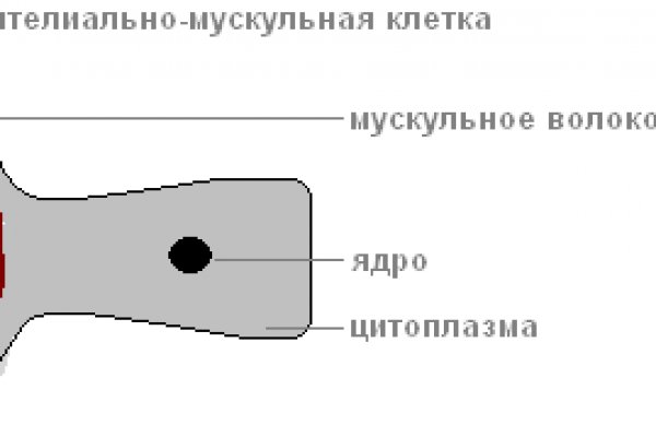 Kra40.at