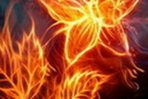 Kraken актуальные зеркала krakentor site