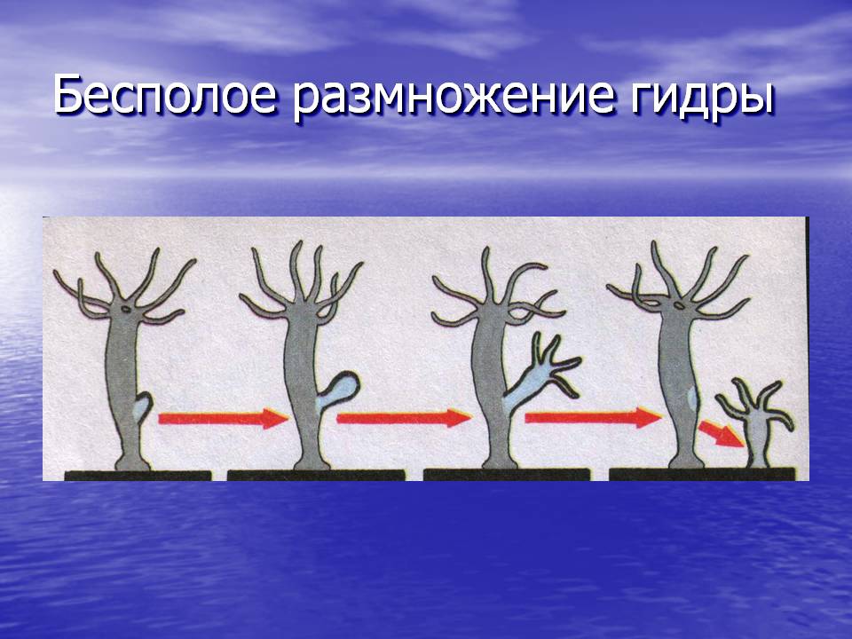 Восстановить аккаунт на кракене